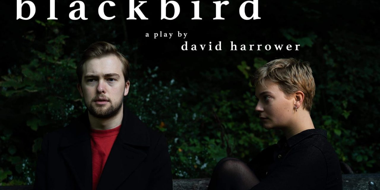Review: Blackbird
